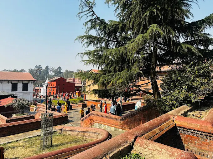 How to Check NEB Class 12 Result 2026 in Nepal (Step-by-Step Guide)